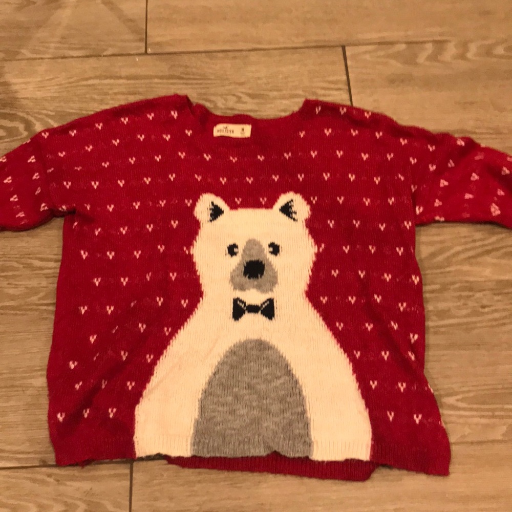 Hollister Polar bear Sweater